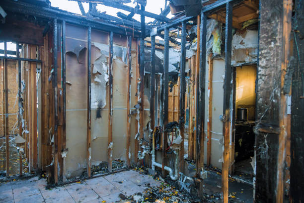Professional Smoke Damage Removal technician working in Live Oak, CA